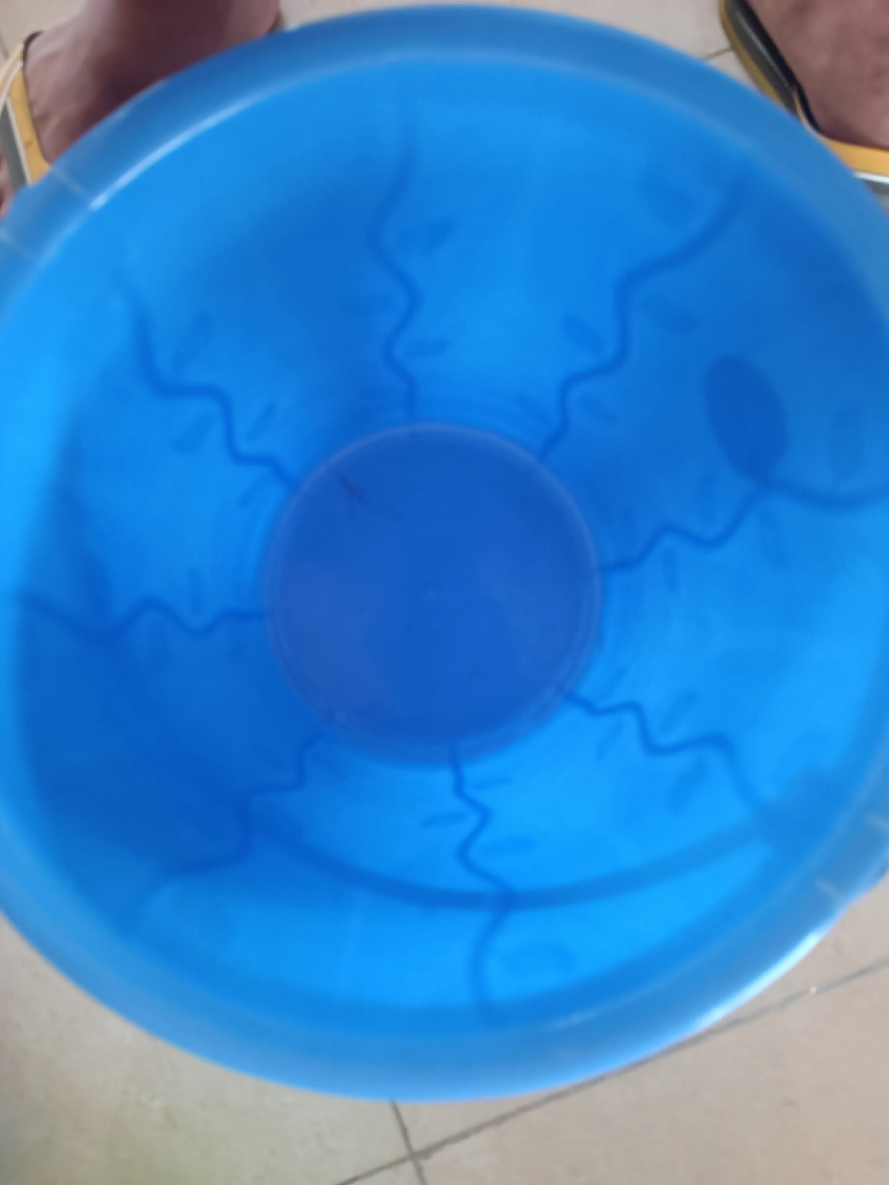 Bucket