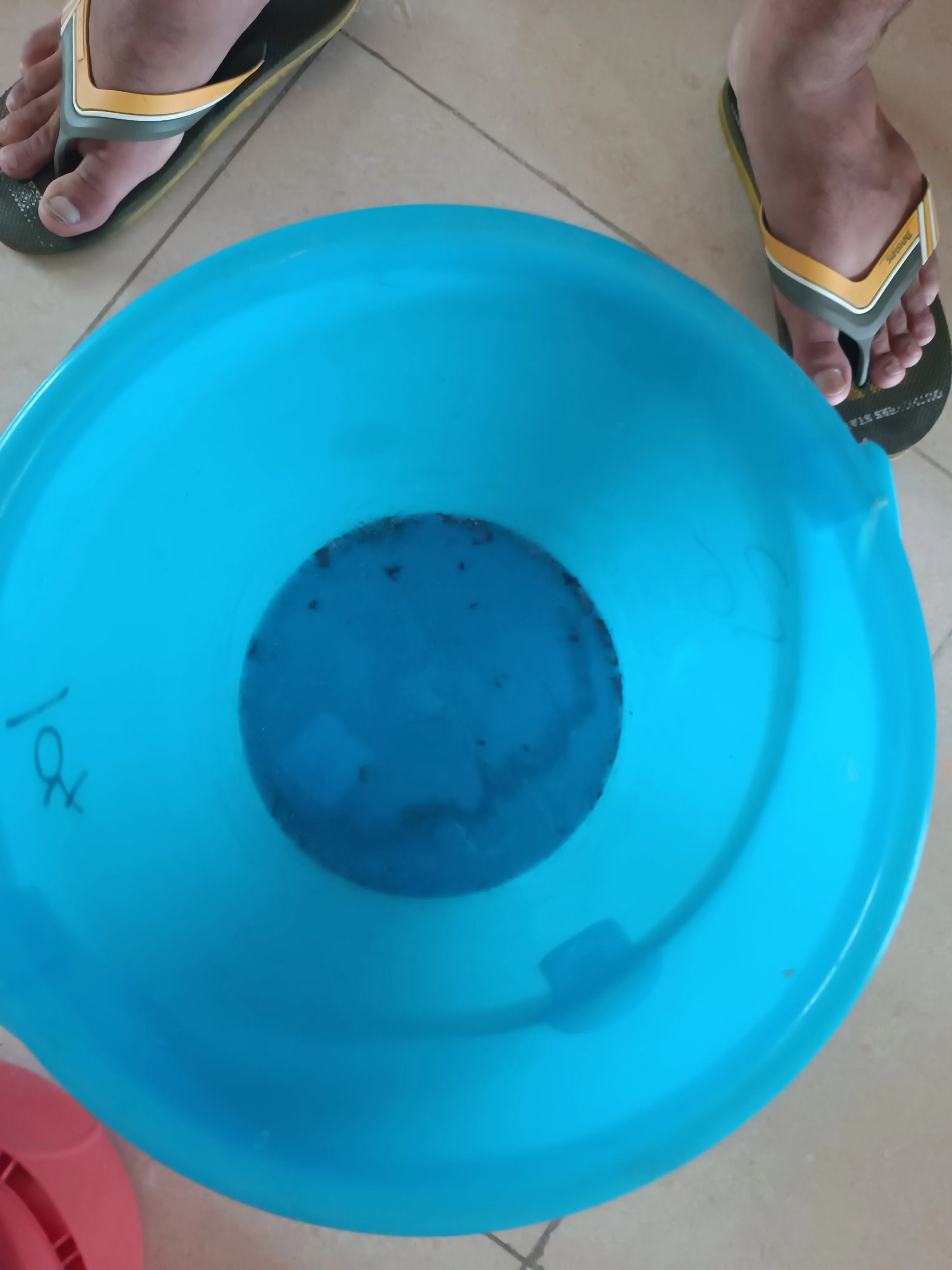 Bucket
